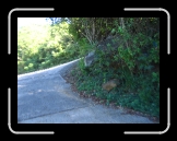 Tortola 217 * see the crazy switchbacks? * 2048 x 1536 * (1.5MB)